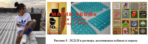 трава Аркадак