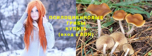 тгк Арсеньев