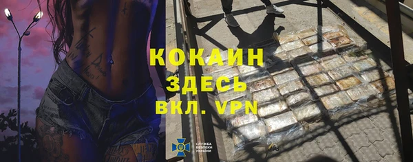 тгк Арсеньев