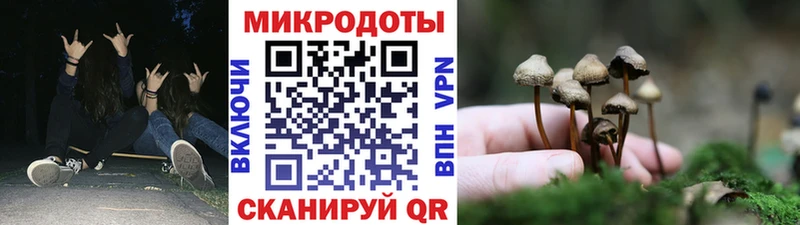 продажа наркотиков  Спасск-Дальний  kraken зеркало  Галлюциногенные грибы прущие грибы 